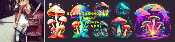 соль ск Алзамай