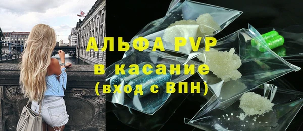 хмурый Абаза