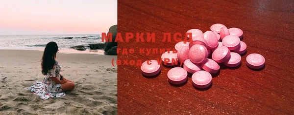 хмурый Абаза