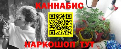 гидропоника Гусев