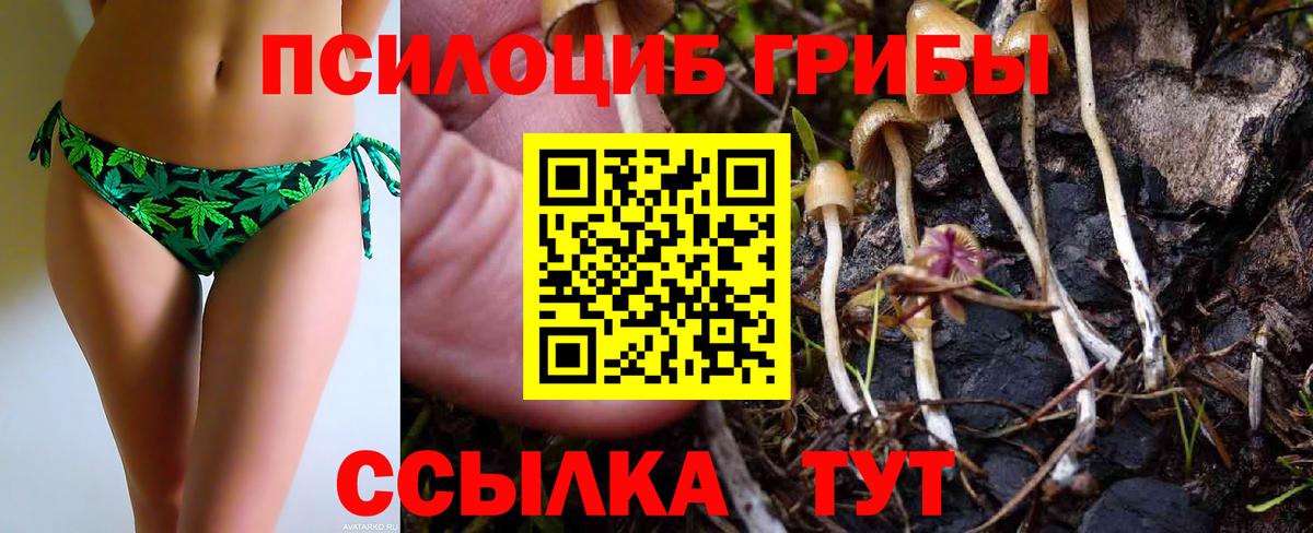 Галлюциногенные грибы Psilocybine cubensis  Галлюциногенные грибы прущие грибы  Вход с VPN  Протвино 