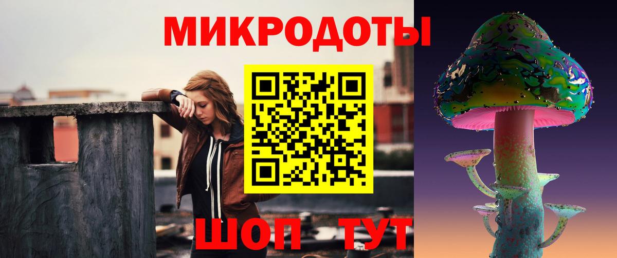 Псилоцибиновые грибы Cubensis Протвино